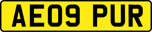 AE09PUR