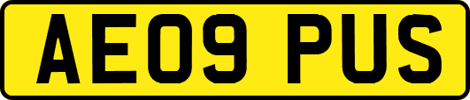 AE09PUS