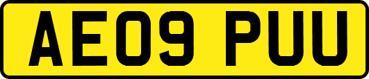 AE09PUU