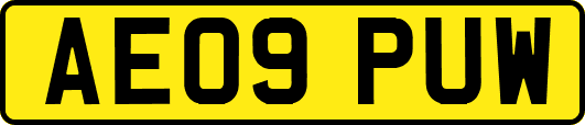 AE09PUW