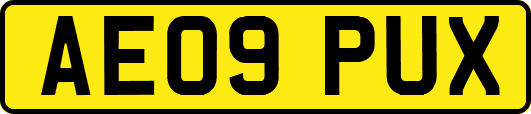 AE09PUX
