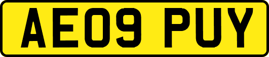 AE09PUY