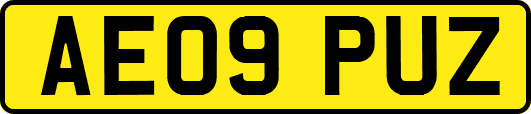 AE09PUZ