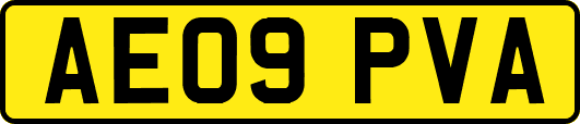 AE09PVA