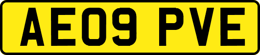 AE09PVE