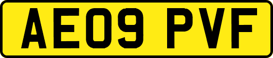 AE09PVF