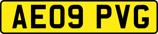 AE09PVG