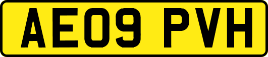 AE09PVH