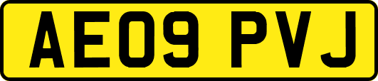 AE09PVJ