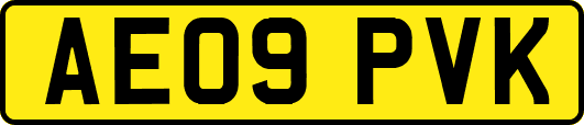 AE09PVK