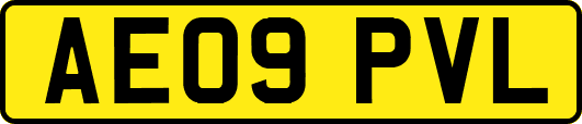 AE09PVL