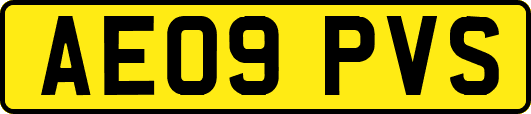 AE09PVS