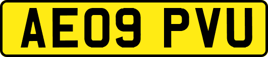 AE09PVU