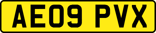 AE09PVX