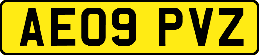 AE09PVZ