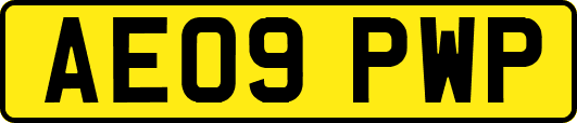 AE09PWP