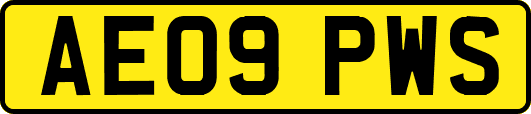 AE09PWS