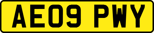 AE09PWY
