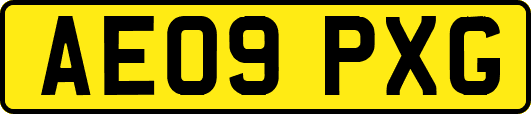 AE09PXG