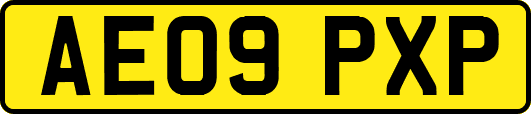 AE09PXP