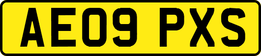 AE09PXS