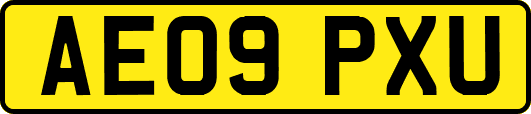 AE09PXU