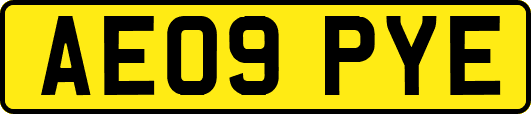 AE09PYE
