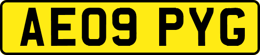 AE09PYG