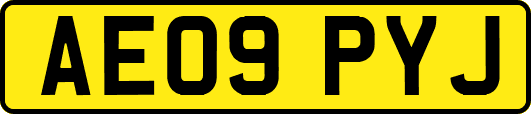 AE09PYJ