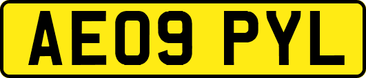 AE09PYL