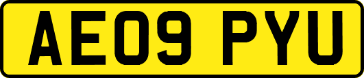 AE09PYU