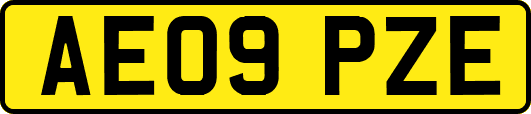 AE09PZE