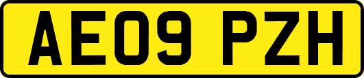 AE09PZH