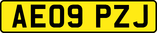 AE09PZJ