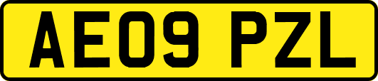 AE09PZL