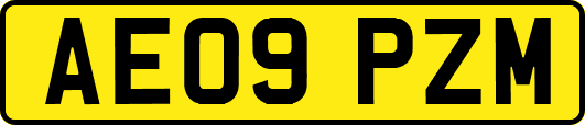 AE09PZM