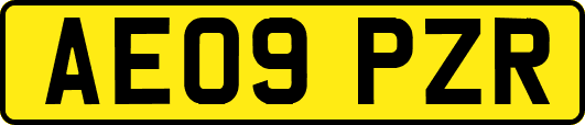 AE09PZR