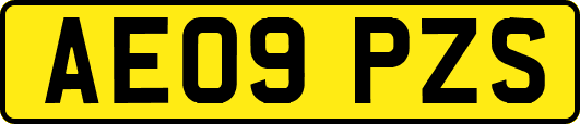 AE09PZS