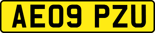 AE09PZU