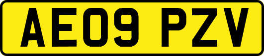 AE09PZV