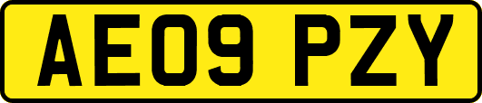AE09PZY
