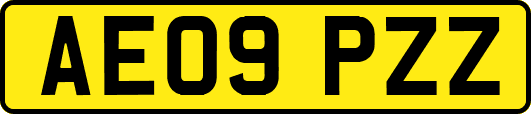 AE09PZZ