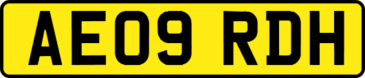 AE09RDH