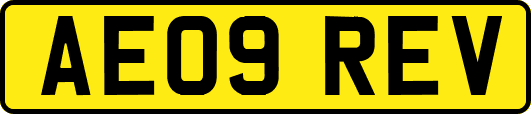AE09REV
