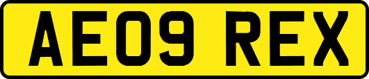 AE09REX