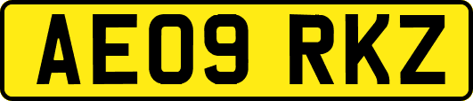 AE09RKZ