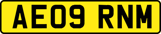 AE09RNM