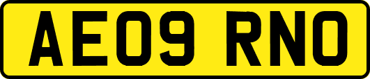 AE09RNO