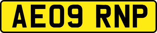 AE09RNP