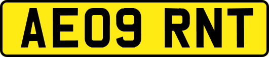 AE09RNT